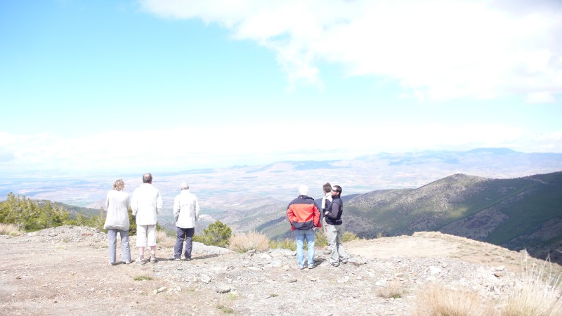 Sierra_Nevada_2009 - 120.jpg